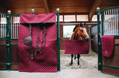 Tentures et porte de box West Cheval